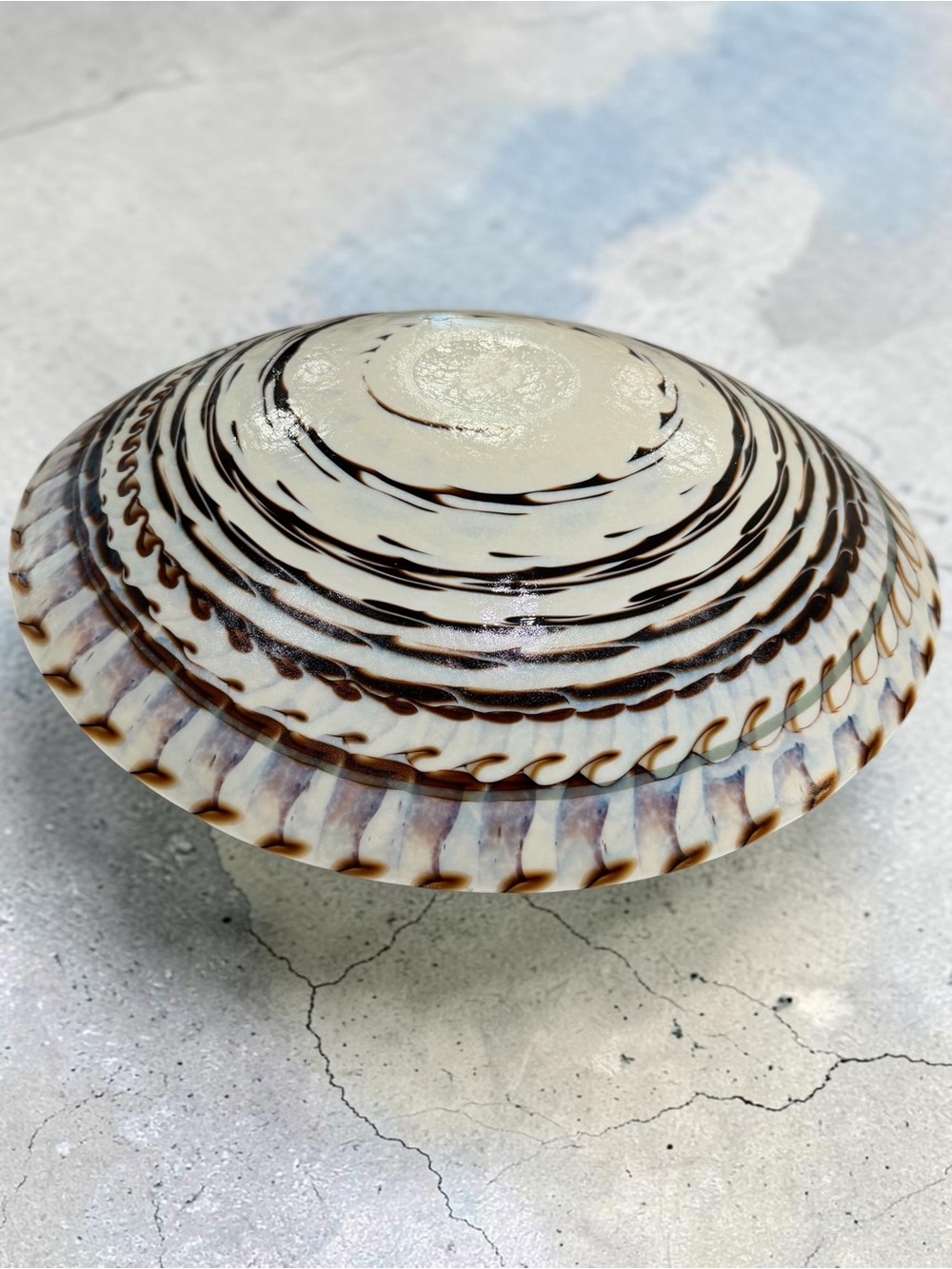 Yalos Murano Fornace Ferro Tuareg Iridescent Nautilus Shell Glass Bowl 20” - Picture 5 of 14